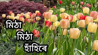 Mitha Mitha Hahire //MV musical entertainment//Assamese song