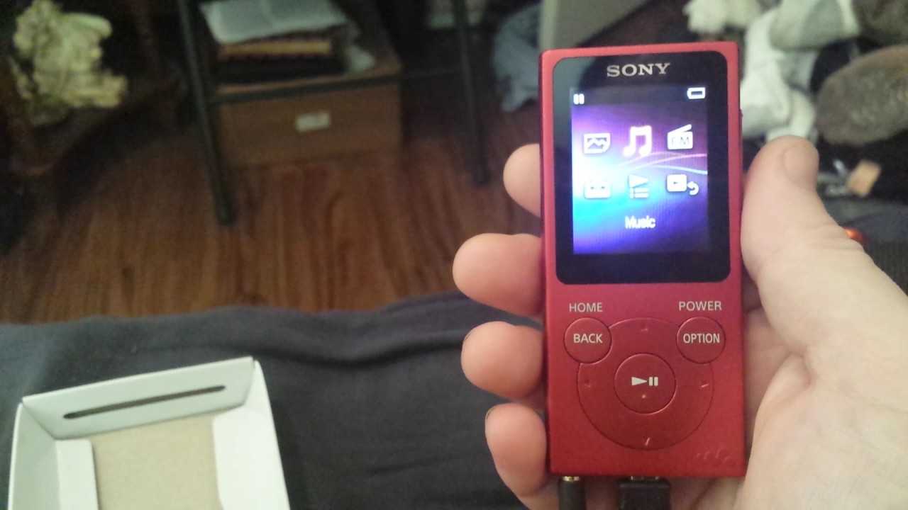 Sony NWE395 Walkman Review: An MP3 Player with Substance