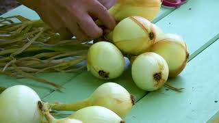 How to Braid Onions