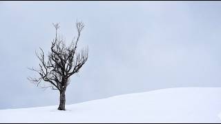 Cesur Demir - Sensiz Yaşamak