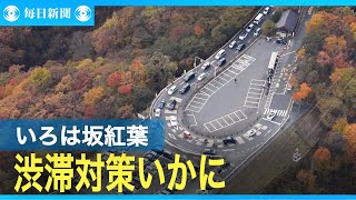 日光の紅葉見ごろ　いろは坂では渋滞緩和の実証実験