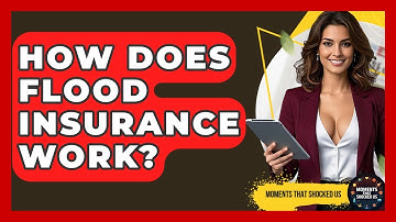 How Does Flood Insurance Work? - Moments That Shocked Us