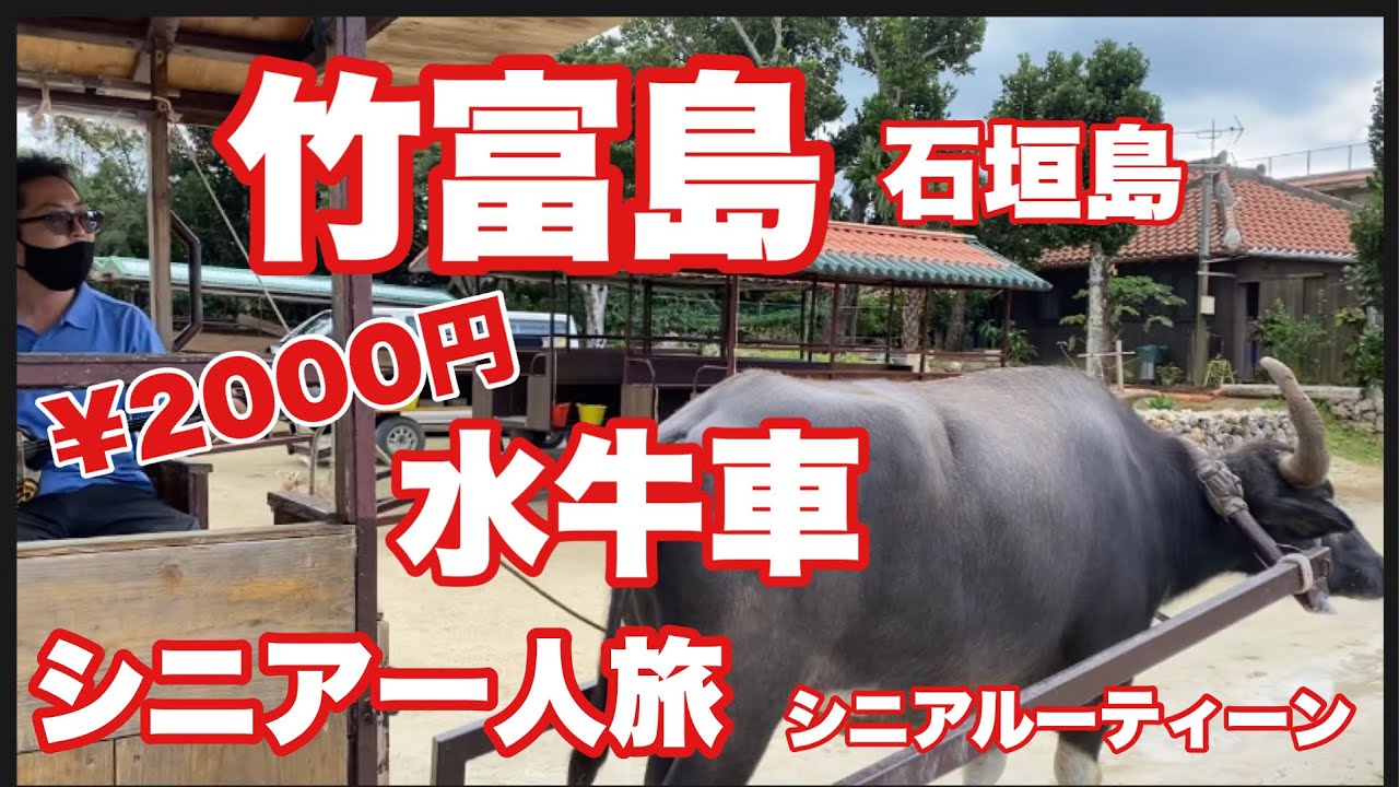 竹富島 水牛車 石垣島 シニア一人旅 シニアルーティーン Youtube