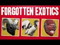 Destiny 1 Exotic Armor NOT In Destiny 2