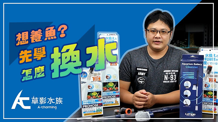 魚缸的水要換嗎？一次要換多少水？water change tips - 天天要聞
