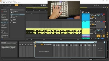 Making Launchpad Covers in Ableton Live 10 Lite (Removing Drums,  Chain Lights, Recording)