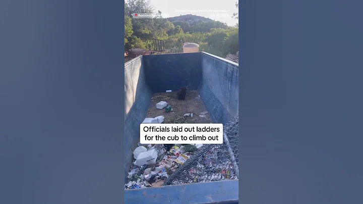 Bear cub stuck in dumpster - DayDayNews