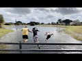 Florida rapper 93Purpose joins the Exotic Express for a day! Fishing, Iguanas, and Alligators!