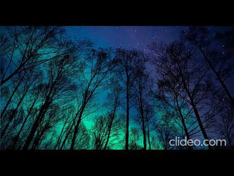 MINA NAWE OFFICIAL TRACK AZAKIL FT AKIL 