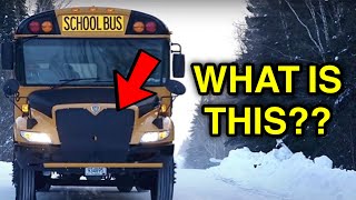 WHY DO SCHOOL BUSES HAVE THIS ON THEIR GRILLE??