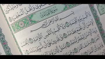 سورة القيامة لفضيلة الشيخ سيد درويش حفظه الله