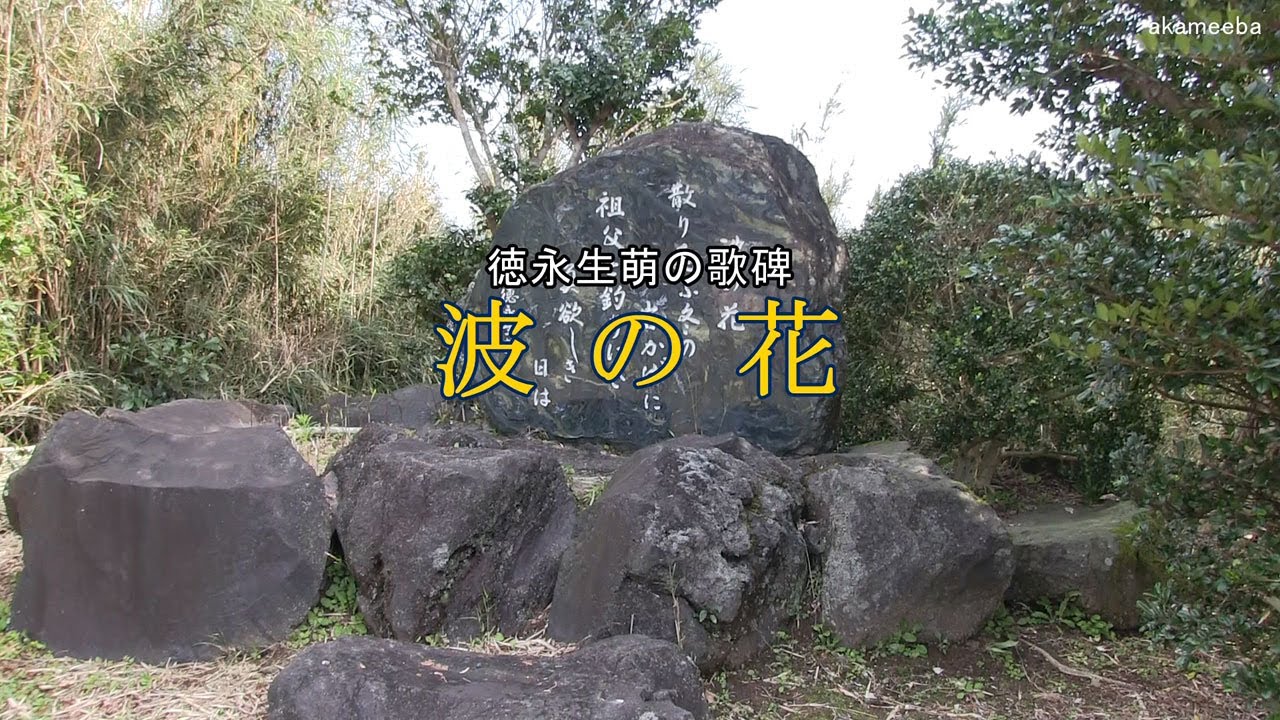 波の花 西之表市安城下之町公民館に建立 種子島の記念碑 Youtube