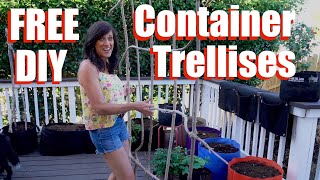 3 FREE DIY Trellises & How to Plant Container Vegetables/Container Garden Series #2