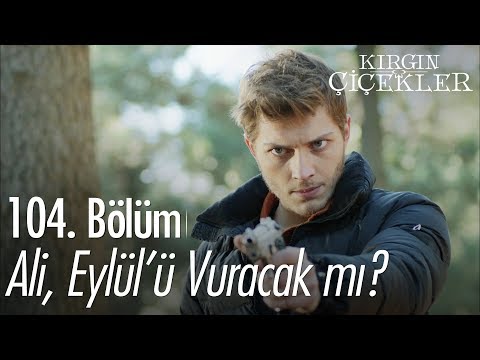 Ali, Eylül'ü vuracak mı? - Kırgın Çiçekler 104. Bölüm