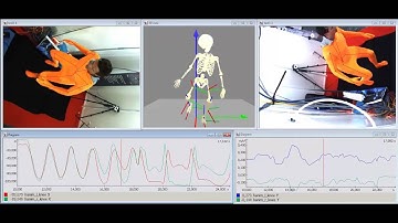 Markerless Motion Capture - lower extremities segment axes