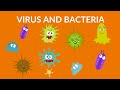 Virus and bacteria  for kids