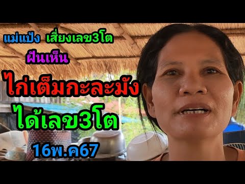 #แม่แป้ง#เสี่ยงเลข3โต#ฝันเห็นไก่เต็มกะละมังได้เลข3โต16พ.ค67