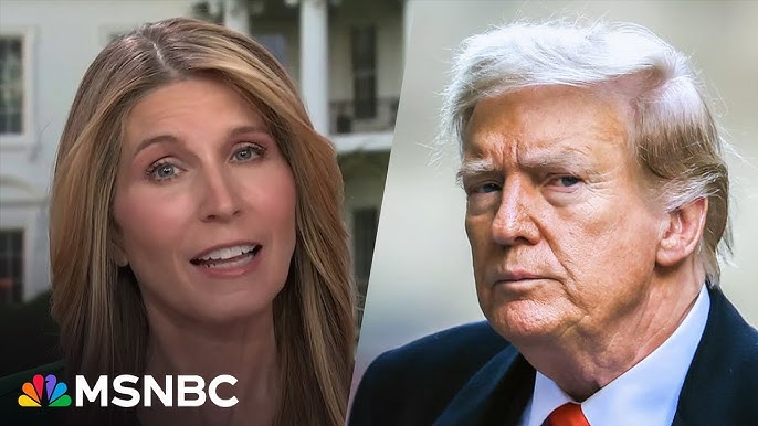 Nicolle Wallace On Trump He Lied About His Wealth He Lied About His Sex Life