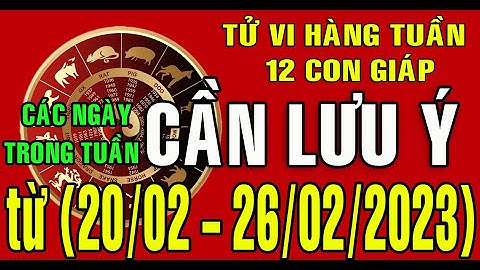 Tử vi Tuần mới (20 - 26/02/2023) CÁC NGÀY CẦN LƯU Ý TRONG TUẦN cho 12 con giáp