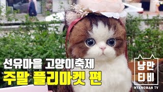 [냥만TV] 선유마을 고양이축제 2탄 ~플리마켓편~ by 냥만티비 NMCAT TV 96 views 5 years ago 3 minutes, 46 seconds