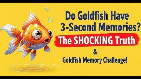 Do Goldfish Have 3-Second Memories? The SHOCKING Truth & Goldfish Memory Challenge!