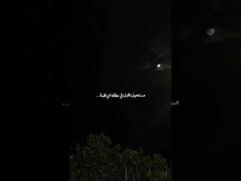 انتي لسه زي ما انتي عمرو دياب بدون موسيقى