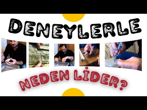 Video: Seçkin lider nedir?