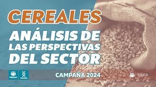 Perspectivas para el sector de los cereales en la campaña 2024/25