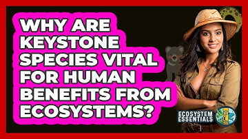 Why Are Keystone Species Vital For Human Benefits From Ecosystems? - Ecosystem Essentials