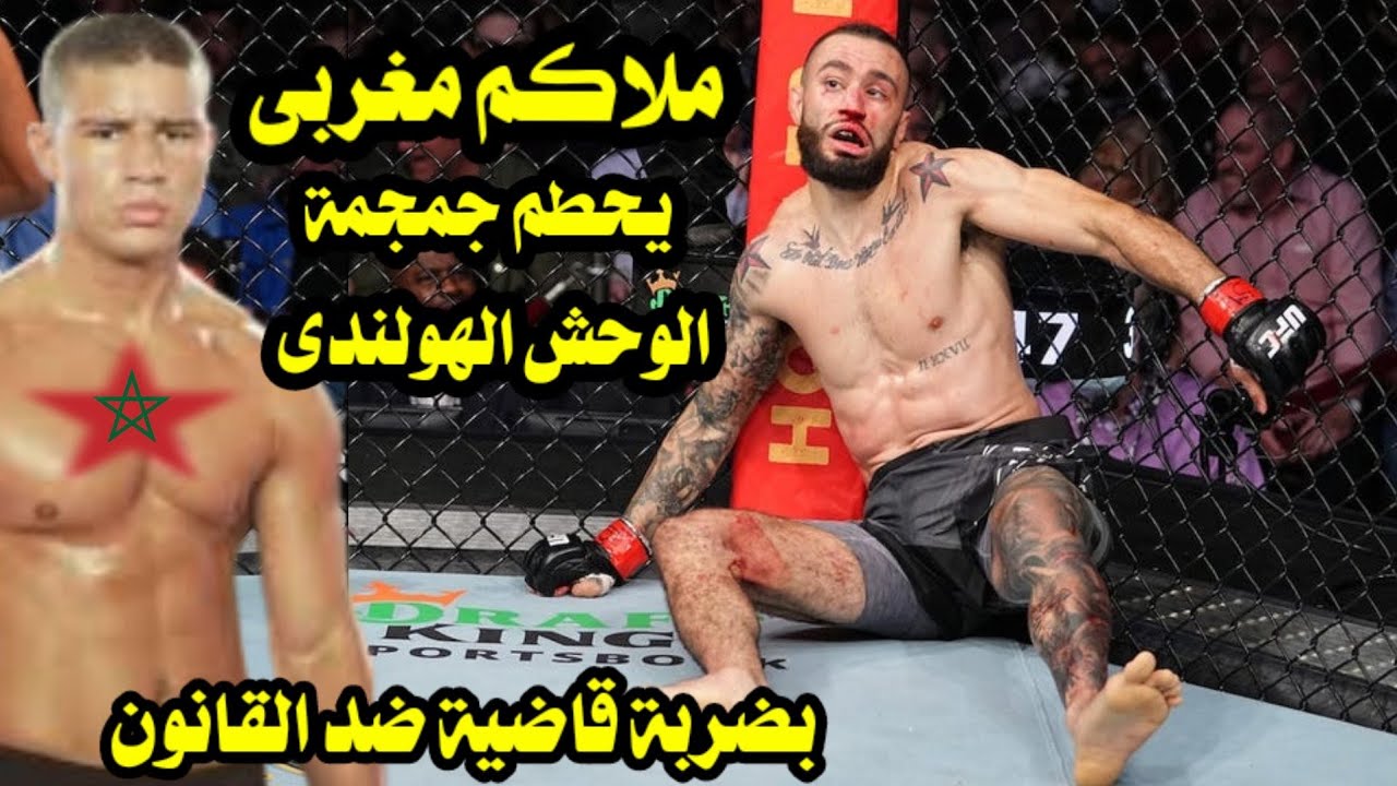 ملاكم مغربى يحطم جمجمة الوحش الهولندى بضربة قاضية ضد القانون أصابت حكم المباراة بالهلع