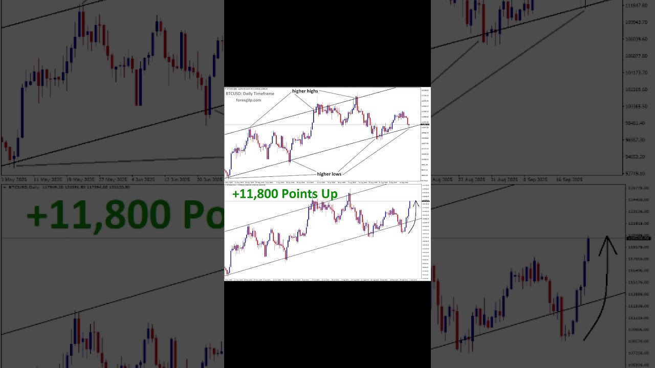 +11,800 Points BTCUSD price went up from the higher low area of the Ascending channel. 