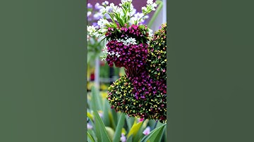 AI bloom #cosplayer #reels #seo #1000subscriber #shorts #viralshorts #fyp #ai