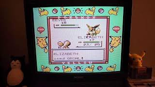 Pokemon Yellow Version on Super Nintendo & CRT