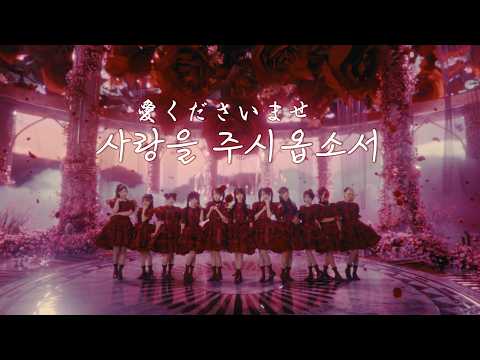 [MV/자막] 노이미 - 사랑 주시옵소서 (愛くださいませ )