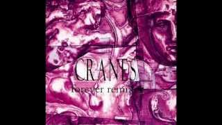 CRANES - clear (boll weevil mix)