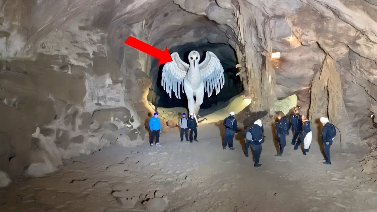 تم العثور علي حيوانات فضائية تعيش علي الارض | لن تصدق ما ستراه!