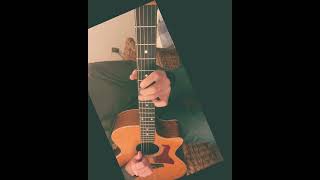 TravelinTrav Gitar