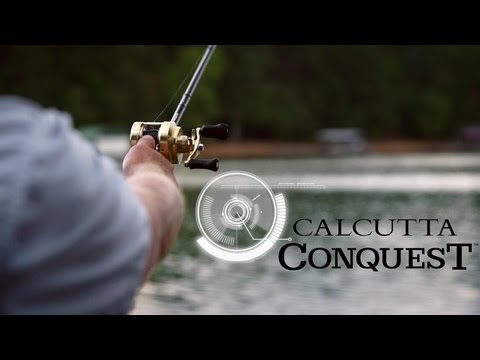 3D Film For SHIMANO CALCUTTA CONQUEST 101 2021/CALCUTTA CONQUEST BFS 2023 Fishing  Reel Sticker Baitcasting Reel Film Spinning Reel Saltwater Reel Special  Color Modification Film