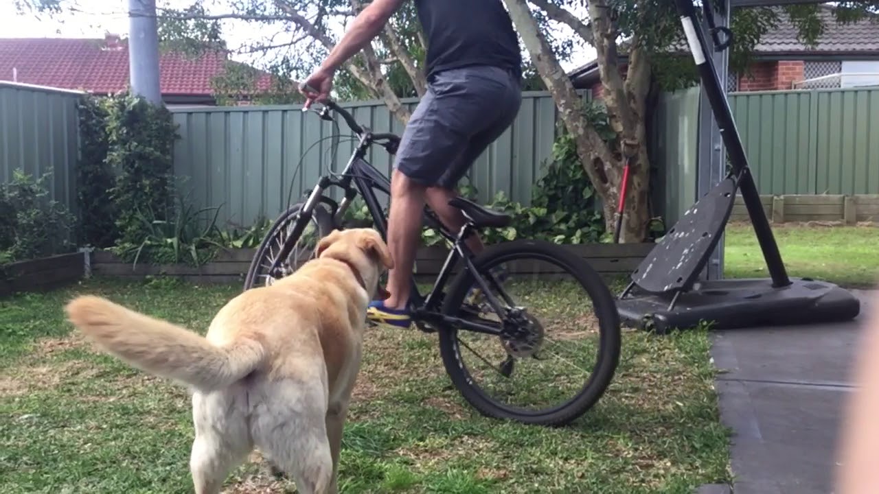 Endo Mountain bike YouTube