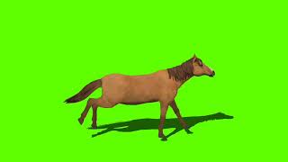 HORSE greenscreen effects