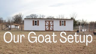 Nigerian Dwarf Goat Shelter