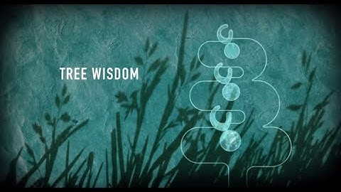 Tree Wisdom