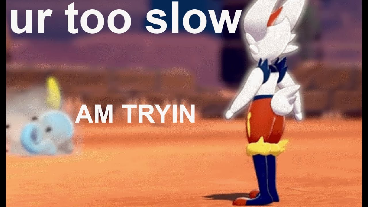 scorbunny & sobble lines meet each other for the first time