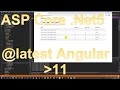 Solved how to create asp core net5 with  angular 11 latest version bootstrap and material