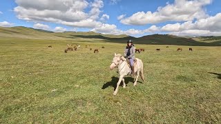 Comença la ruta a cavall per l'estepa a Mongòlia! : Volta al món 12