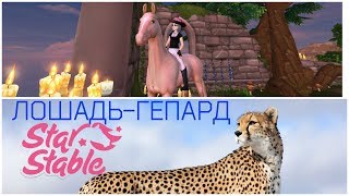 ПОКУПКА ГРУСТНОГО АХАЛТЕКА/НОВАЯ ПОРОДА В Star Stable.ЛОШАДЬ,СОЗДАННАЯ ДЛЯ КОНКУРА/SSO.АХАЛТЕКИНСКАЯ ПОКУПКА ГРУСТНОГО АХАЛТЕКА/НОВАЯ ПОРОДА В Star Stable.ЛОШАДЬ,СОЗДАННАЯ ДЛЯ КОНКУРА/SSO.АХАЛТЕКИНСКАЯ