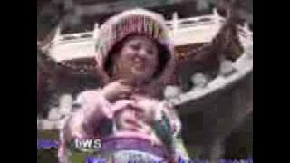 Tsev Nyob Tsoob Kuj - Wang Li