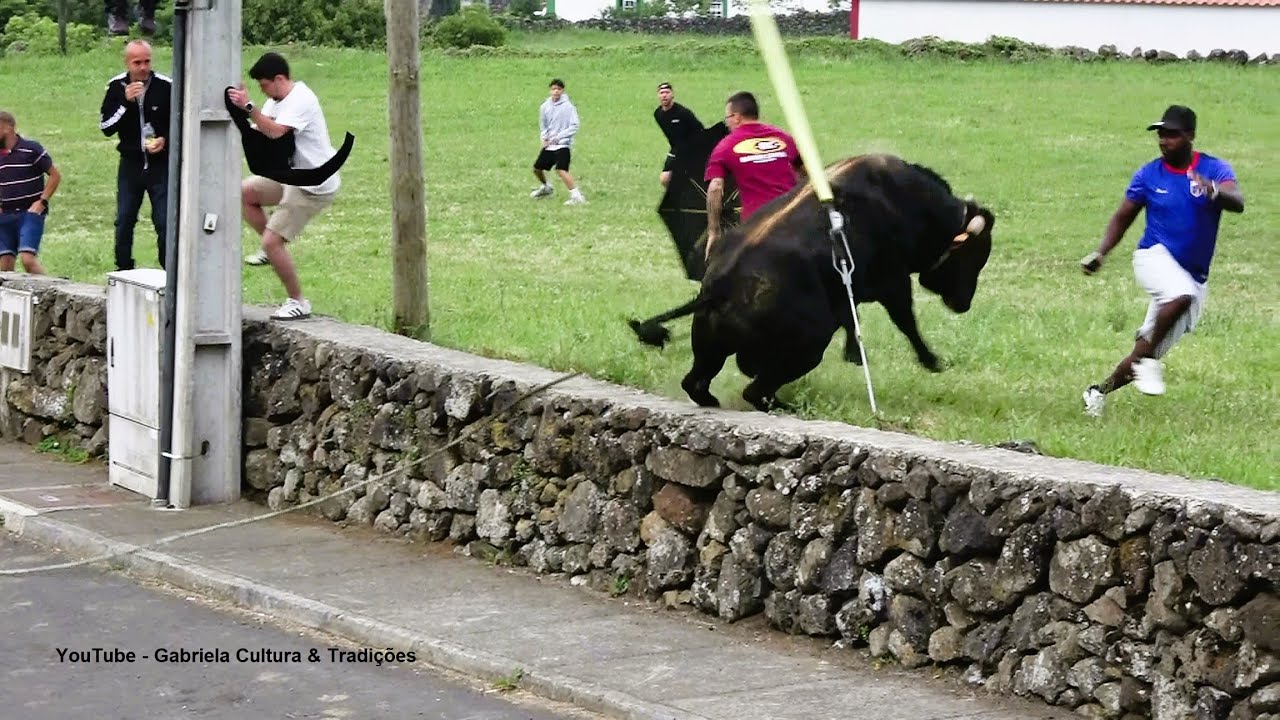 Tourada Nas Beiras C/Touros Ganadaria HF (248,394,388,360) - 19/7/2025 - Ilha Terceira - Açores