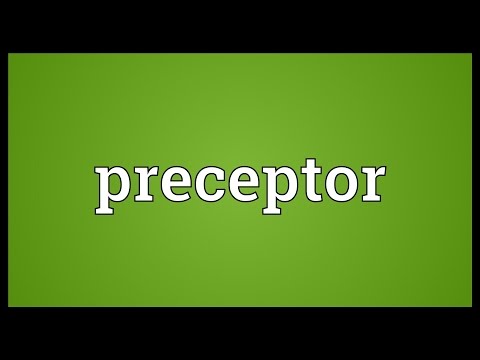 Preceptor Meaning