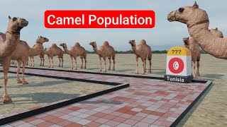 Camel Population by Country